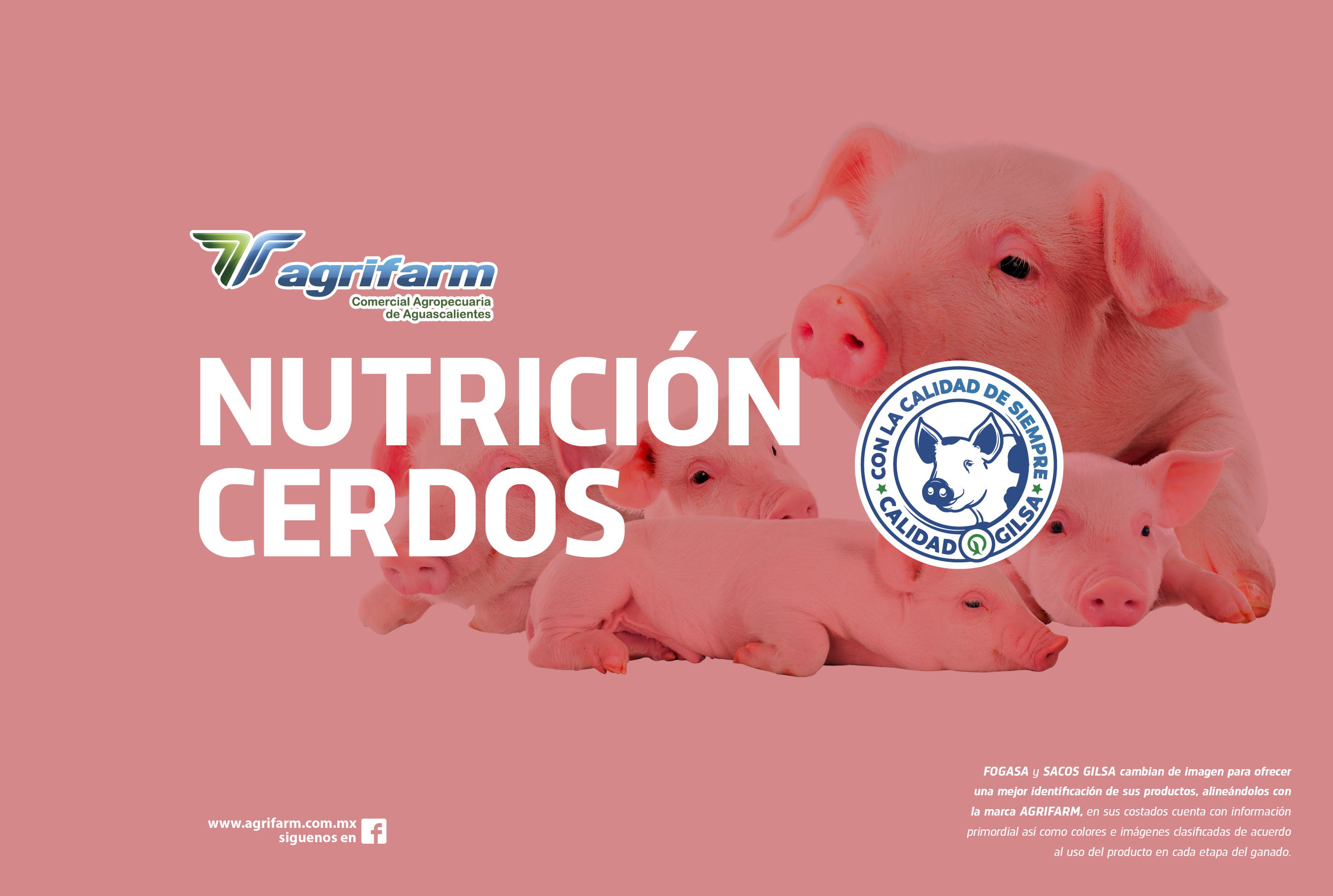 Alimento 100% balanceado para cerdos. Protege y fortalece el sistema inmunológico, para una buena digestión, potabilidad y carne magra